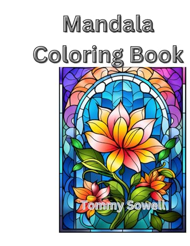 Mandala coloring book von Independently published